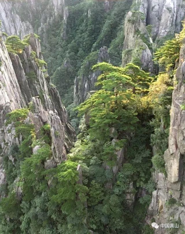 逃离黄金城堡